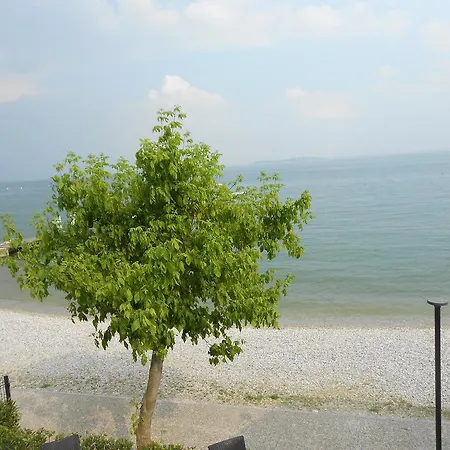 Il Giglio